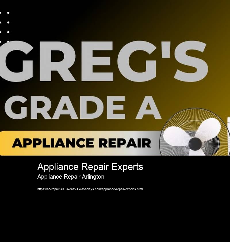 Appliance Repair Experts